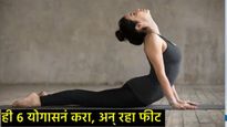 पोटाची चरबी कमी करायची का, मग दररोज करा हे 6 योगासन; केवळ 10 मिनिटं बदलतील तुमचं जीवन 