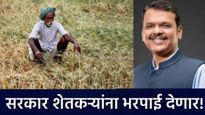 मोठी बातमी! अतिवृ्ष्टीग्रस्त शेतकऱ्यांना पिकांची नुकसान भरपाई मिळणार! CM फडणवीस काय म्हणाले? वाचा