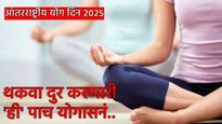 International Yoga Day 2025 : 'ही' 5 योगासनं करा अन् फिट राहा, आळस अन् थकवा होईल दूर!
