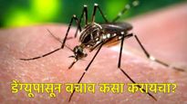 Dengue : पावसाळा सुरू होताच आता डेंग्यूचा धोका! लक्षणे, कारणे उपाय बचाव कसा करायचा? जाणून घ्या टीप्स