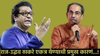 'हिंदीला विरोध' केवळ हा एकमेव मुद्दा नव्हे, तर अशी 8 कारणं, ज्यामुळे राज-उद्धव ठाकरे येताहेत एकत्र?