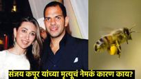 करिश्मा कपूरचा माजी पती संजय कपूरचा एका मधमाशीच्या चाव्याने गेला जीव; काय आहे Anaphylaxis शॉक!   