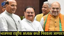 BJP President: 'या' 6 दिग्गज नेत्यांपैकी एकाच्या गळ्यात पडणार भाजप अध्यक्षपदाची माळ! वाचा सविस्तर! 