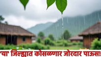 विदर्भात वादळी वाऱ्यांसह पावसाची शक्यता, मुंबई पुण्यासह राज्यातील हवामान कसे राहील? घ्या जाणून