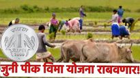 मोठी बातमी! जुनी पीक विमा योजनाच राबवणार! 1 रुपयात पीक विम्यावर कृषिमंत्र्यांनी स्पष्टच सांगितलं