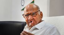 महाविकास आघाडीसाठी आणखी एक धक्का? शरद पवार गटातील मोठा नेता भाजपच्या वाटेवर
