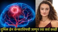 'द वॉकिंग डेड'ची अभिनेत्री केली मॅकचे ब्रेन कॅन्सरने निधन: जाणून घ्या- 'ग्लिओमा' आजाराविषयी!   