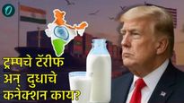 रशियाकडून तेल खरेदीच नाही तर टॅरीफ लादण्याचे हेही कारण! अमेरिकेला भारताकडून नेमकं काय हवं? वाचा