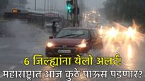 Maharashtra Weather विदर्भात 6 जिल्ह्यात विजांच्या कडकडाटासह पाऊस होणार! जाणून घ्या राज्यातील हवामान