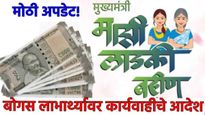 मोठी बातमी! अहवाल आला, लाडक्या बहिण योजनेतील 'त्या' बोगस लाभार्थ्यावर सरकारचे कारवाईचे आदेश