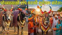 Happy Bail Pola 2025 Wishes: सण बैलांचा माझ्या बळीराजाचा, पोळ्यानिमित्त असे खास शुभेच्छा संदेश पाठवा