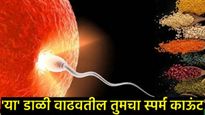 कमी स्पर्म काउंटमुळे वडील होण्यास येतात मोठ्या अडचणी? समस्या निवारणासाठी या डाळी खा, 'हे' उपाय करा