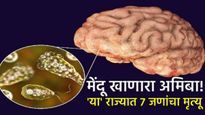 Brain Infection धक्कादायक! मेंदू खाणारा अमिबा 'या' भागात आजाराचं थैमान 7 जण दगावले! हा आजार काय वाचा