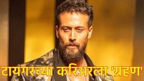 टायगरच्या नशीबी आणखी एका फ्लॉप चित्रपटाची भर; बागी सिरीजचा गड कोसळला, 6व्या दिवशी कमाई किती? 