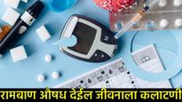 रिकाम्या पोटी खा फक्त 'हे' एक पान; कोलेस्टेरॉल-मधुमेहासाठी रामबाण उपाय, जाणून घ्या सविस्तर! 