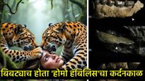 AI संशोधनातून 20 लाख वर्षांपूर्वीचा थरार उलगडला; मानवी पूर्वजांना बिबट्यांनी मारून खाल्ले!  