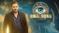 Bigg Boss 19 महाअंतिम सोहळा 'या' दिवशी! 'बिग बॉस'बद्दल कधीही न ऐकलेल्या 'या' 3 गोष्टी वाचा