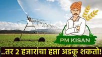 PM Kisan Yojana : 'फार्मर रजिस्ट्री' शिवाय मिळणार नाही 2000 चा हप्ता, लाभांसाठी लागतील हे कागदपत्रं