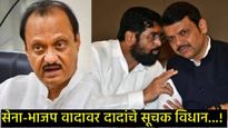 शिंदे गटाच्या भाजपवरील नाराजीवर अजित पवारांचे सूचक विधान; म्हणाले-असे दिसते की 2 डिसेंबर रोजी.. 