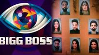 बिग बॉस 19 च्या ग्रँड फिनालेपुर्वीच विजेत्याच्या नावाची घोषणा? भाकितामध्ये आलं 'हे' धक्कादायक नाव 