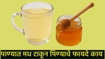 कोमट पाण्यात मध टाकून दररोज पिल्याने काय होतात फायदे; जाणून घ्या एकाच क्लीकवर! 
