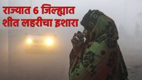 महाराष्ट्रात थंडीचा कहर! 'या' 3 डिसेंबरसाठी 6 जिल्ह्यांमध्ये 'शीतलहरीचा' इशारा; पारा 10°C च्या खाली