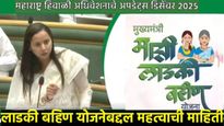 Big News : लाडकी बहीण योजनेत 2.63 कोटींपैकी 'एवढे' अर्ज वैध! 8 हजार सरकारी कर्मचाऱ्याकडून वसुली सुरु
