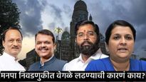 पुणे, मुंबईत भाजप आणि राष्ट्रवादी स्वतंत्र का लढणार? अंजली दमानियांनी सांगितलं कारण, केला मोठा आरोप