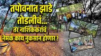 तपोवनची झाडं तोडली तर नाशिक होईल 'हीट आयलंड'? तज्ज्ञांचा गंभीर इशारा 