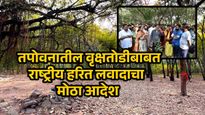 तपोवन वृक्षतोडीला मोठा दिलासा; राष्ट्रीय हरित लवादाचा मोठा निर्णय