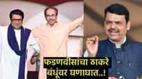 'परप्रांतियांना दोन थोबाडीत मारणं म्हणजे विकास नव्हे'; फडणवीसांचा ठाकरे बंधूंना बोचरा टोला 