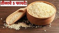Til Health benefits: हिवाळ्यात रोज खा फक्त 1 चमचा तीळ; हाडे होतील मजबुत, मिळतील 'हे' 5 जबरदस्त फायदे