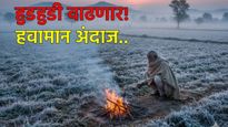 थंडीचा कडाका पुन्हा वाढणार! राज्यात किमान तापमानात 2 ते 3 अंशांची घट; हवामान विभागाचा 'हा' इशारा