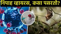 सावधान! 'निपाह' विषाणू शरीरात 45 दिवसांपर्यंत राहू शकतो सुप्त; जाणून घ्या लक्षणे आणि बचावाचे उपाय 