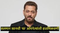 2026मध्ये होणार सर्वात मोठा धमाका! बॉलिवूड आणि दाक्षिणात्य इंड्स्ट्रीत होणार हातमिळवणी, सलमान खान.. 