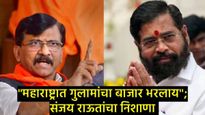 Sanjay Raut : पवार काका-पुतणे पुन्हा एकत्र, शिंदे भाजपचे मांडलिक'; संजय राऊतांचा घणाघात 