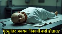मृत्यूनंतर कोणता अवयव प्रथम निकामी होतो? जाणून घ्या अवयव बंद पडण्याचा धक्कादायक क्रम! 