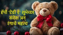 Teddy Day 2026 'टेडी डे' निमित्त खास 20 शुभेच्छा संदेश जोडीदाराला शेअर करा, टेडीचा रंग अन् अर्थ वाचा