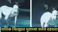 नाशिकच्या आराई गावात 'भुताची' दहशत?, लोकांनी तपासल्यानंतर भलतंच आलं समोर; नेमकं काय घडलं! 