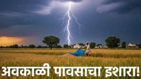 राज्यात अवकाळीचे संकट! मराठवाडा-विदर्भात विजांच्या कडकडाटासह पावसाचा इशारा; तापमानातही होणार मोठी घट