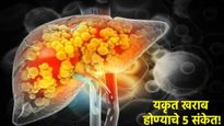 Liver Damage Signs : यकृत निकामी होण्यापूर्वी शरीर देतं 'हे' 5 संकेत; दुर्लक्ष करणं पडू शकतं महागात