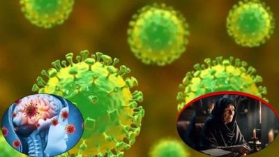 बाबा वेंगाची 'ती' भविष्यवाणी ठरतेय खरी? कोरोनानंतर आता 'या' रोगाचा कहर; किती धोकादायक आहे हा आजार!