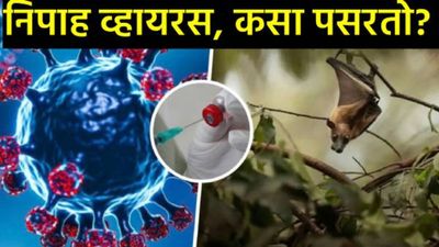 सावधान! 'निपाह' विषाणू शरीरात 45 दिवसांपर्यंत राहू शकतो सुप्त; जाणून घ्या लक्षणे आणि बचावाचे उपाय