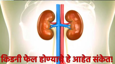 Kidney failure symptoms : सावधान! ही लक्षणे असू शकतात किडनी निकामी होण्याचे संकेत; वेळीच व्हा सावध! 
