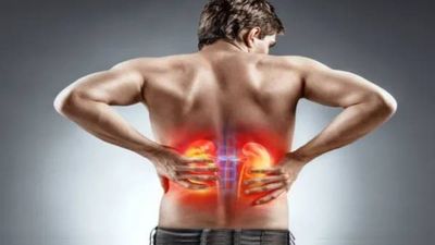 Kidney Care Tips in Marathi : किडनी खराब करु शकतात या पाच चुका, तात्काळ बदला या सवयी अन्यथा धोका!