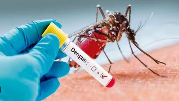 सावधान..डेंग्यूने डोके वर काढले! अमरावतीत आढळले डेंग्यूचे 27 रुग्ण; नाशिकमध्येही प्रकोप