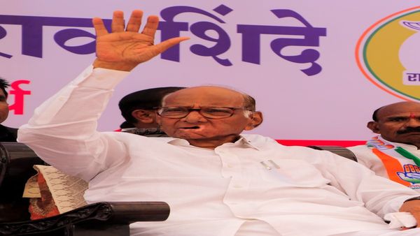 विधानसभेसाठी शरद पवारांचा 'गेम' ठरला, हे तरुण चेहरे मैदानात