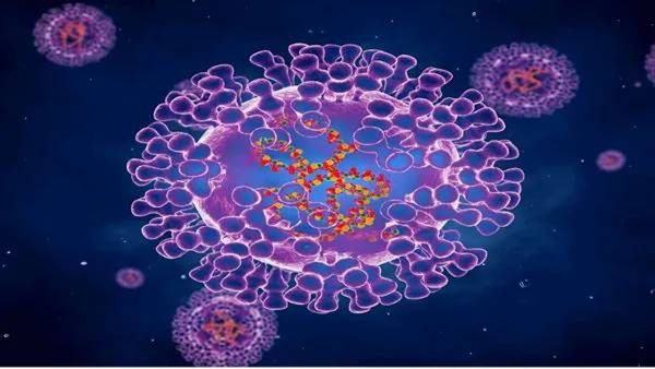 monkeypox : भारतातील मंकीपॉक्सच्या धोक्यादरम्यान डब्ल्यूएचओचा मोठा दावा, 6 महिन्यांत...!