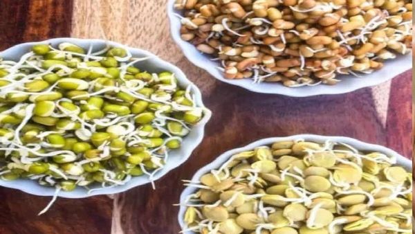 Business Idea: 3 तास काम करून हजारो रुपये कमवा, फक्त 5000 रुपये खर्चून सुरू करा हा उत्तम व्यवसाय