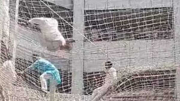 'धनगरांना आदिवासीत आरक्षण नको', विधानसभा उपाध्यक्ष संतापले, मंत्रालयातील जाळीवर उडी अन्...